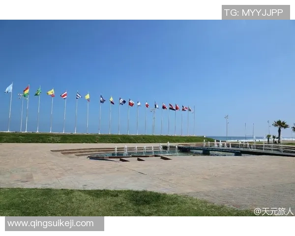 深圳滑板队的节奏变迁与挑战分析：从辉煌到失落的旅程